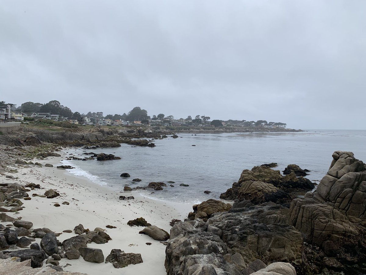 kathleencodes's tweet photo. The last week of runs: Copenhagen (along København’s Havn), Hamburg (around the Alster See), San Francisco (Golden Gate Park), and Monterey (coastline along Pacific Grove) #runnersdream https://t.co/F4hSEtanx1