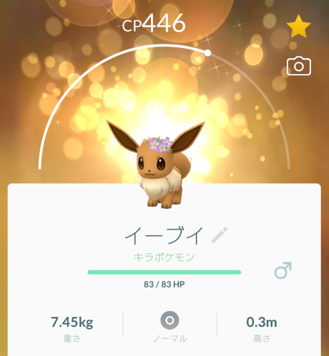 パムッカレ イーブイ 花飾りverキラ Xy世代のニンフィアに進化させる予定です ポケモンgo 和音のポケ活go ポケモンボックス ポケモン紹介