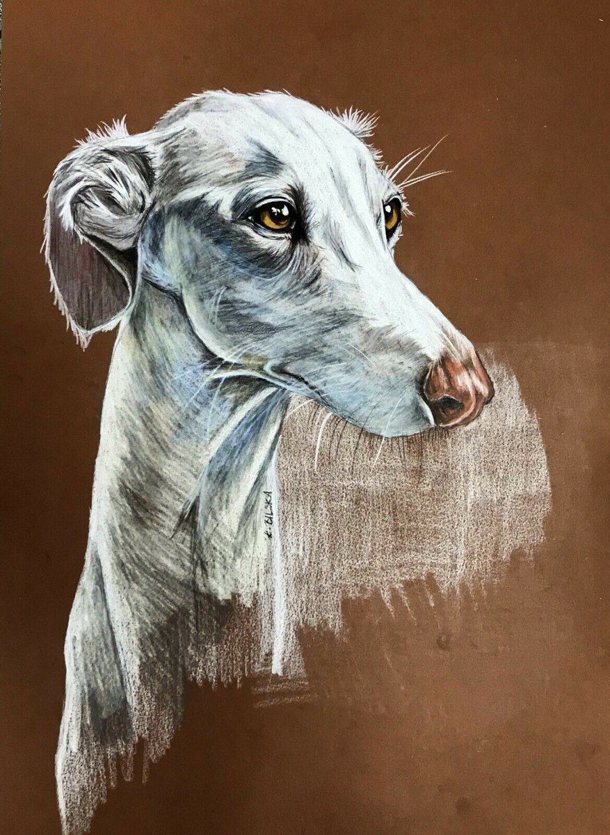 GreyhoundPetsNW's tweet photo. News from Greyhound Pet Adoption Northwest - https://t.co/8O4W1dUmio https://t.co/viQhSQNmLf