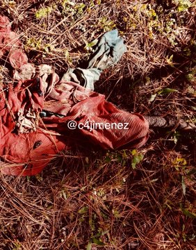 Ver imagen en Twitter