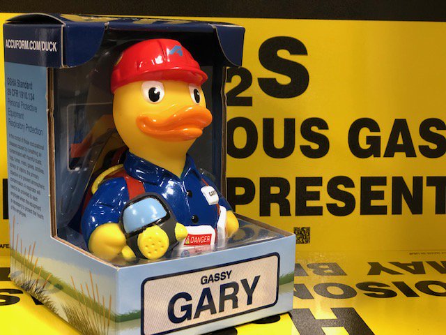 AccuformDucks's tweet photo. Guess what? We're going to be getting another sister! She's due late this summer. Can you guess what OSHA Top 10 violation she's from? Your guess could WIN cool duck SWAG! #OSHA #NeverDuckSafety #WednesdayWisdom https://t.co/iZAorb3XwK
