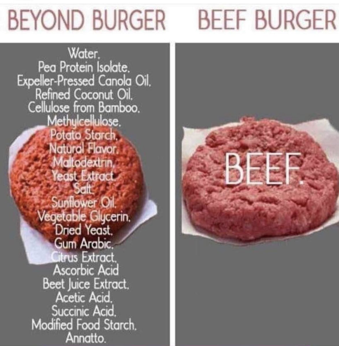 Which Is Better for You: Real or Fake Meat? Video
