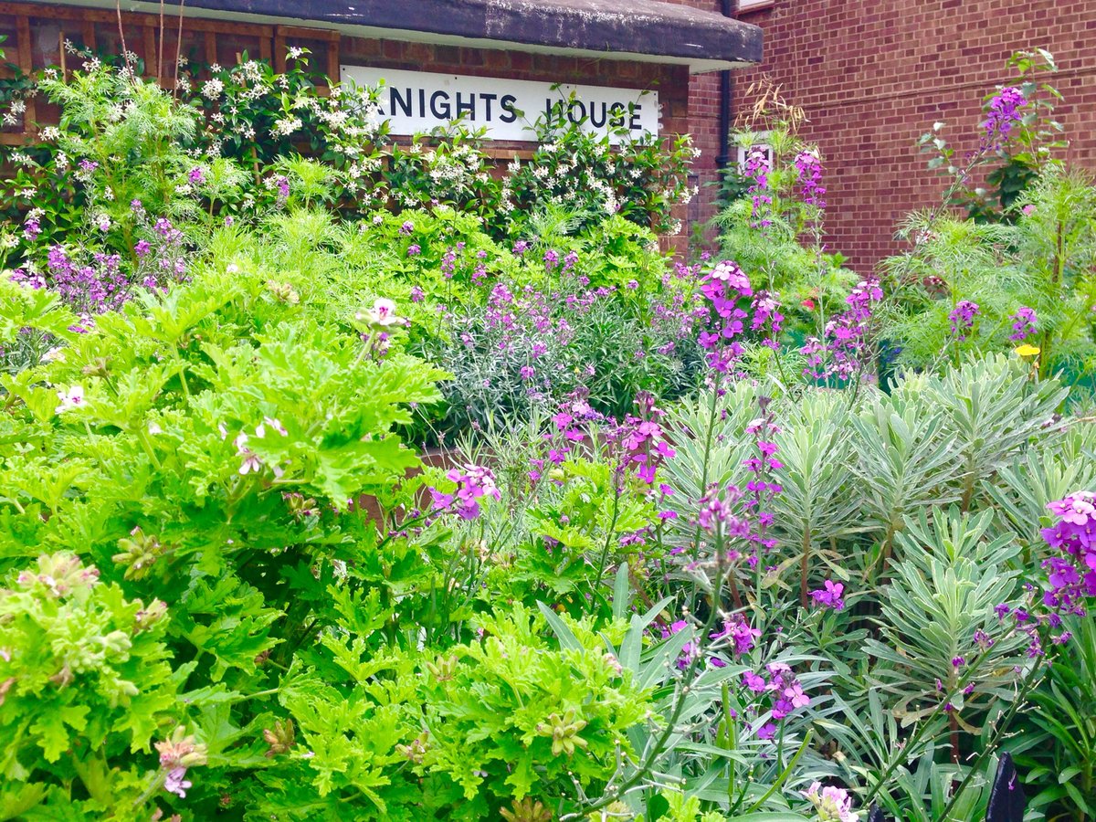 wazzo_m's tweet photo. Apartment Frontage off Kings Road #Chelsea @RBKC_garden @LondonInBloomUK #BKCS https://t.co/bvF7EdoB6H