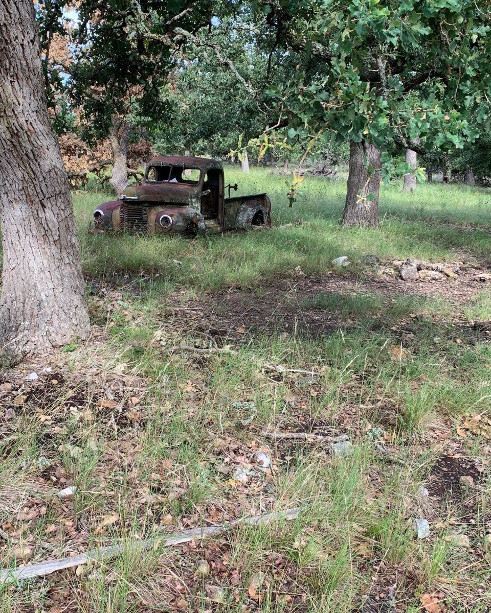 SGSF_Forests's tweet photo. You never know what you might stumble upon in the #Texas woodlands! Forest inventory & analysis foresters often discover unusual relics of the past during their forest surveys. #MyOfficeToday #GreenJobs #TexasFIA https://t.co/YIgNPFCn6w