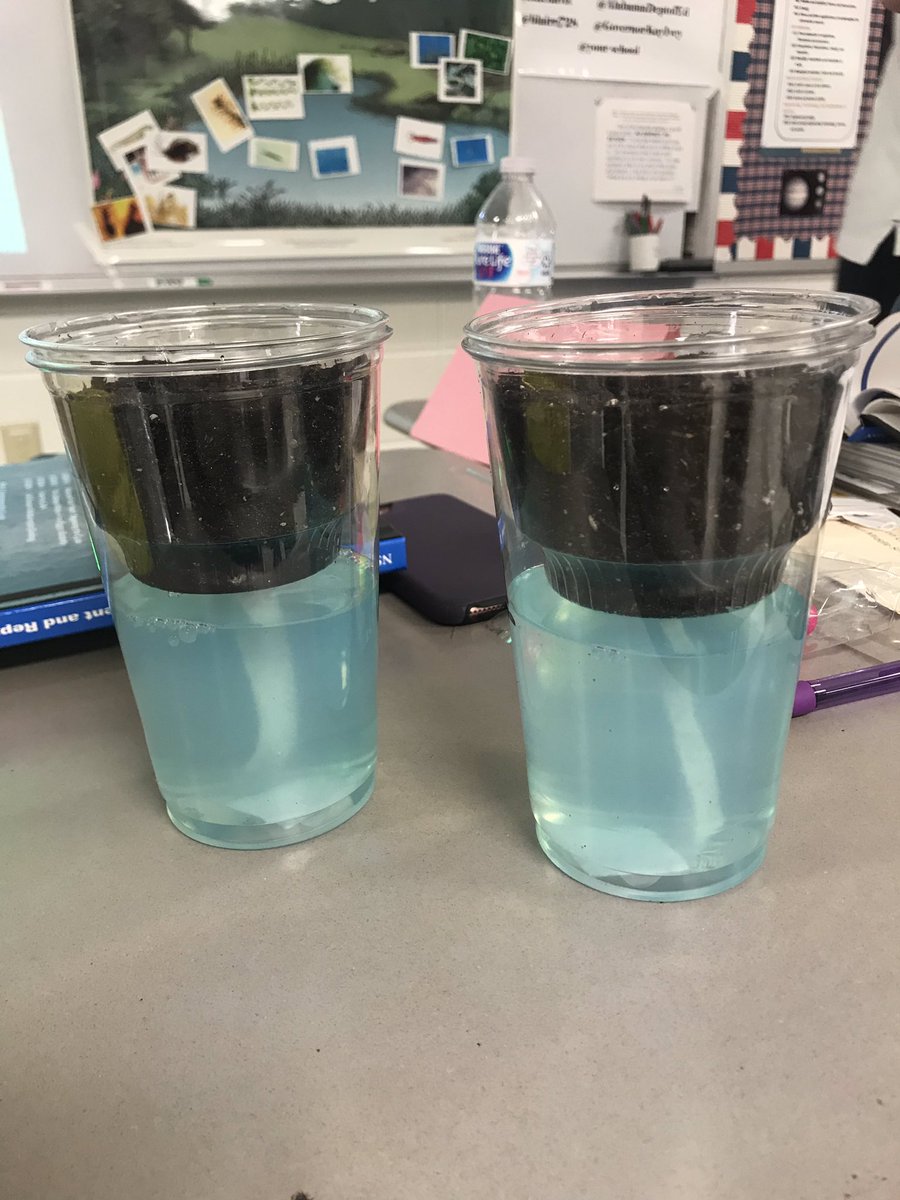 higdon_gabriel's tweet photo. Let’s grow some fast plants!! #amstitraining #fastplants #amsti_um7thgradesciencerocks @AMSTI_UM @GovernorKayIvey https://t.co/U9C1z0TfaT
