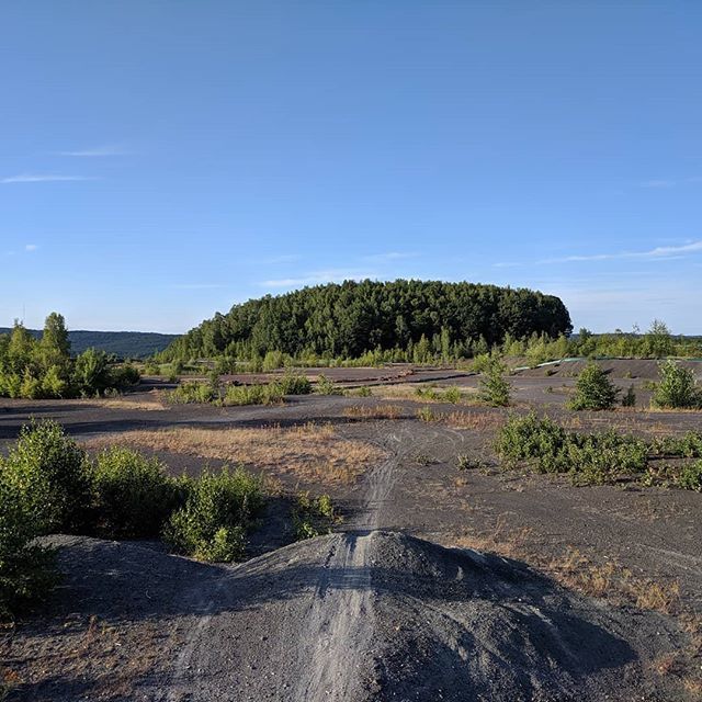 _crazyeddie_'s tweet photo. Halde Lydia #dudweiler #industriekultur #bergbau #bergehalde #mtb #cycling #mtbsaar #mtbsaarland #hometrails https://t.co/uJ7sKmiMzV https://t.co/8FlKtlkEQT