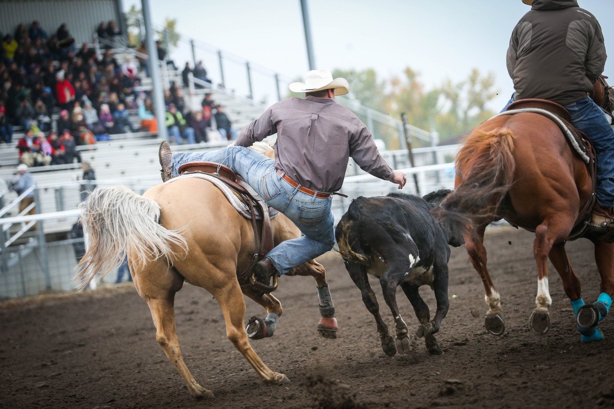 Queencityex's tweet photo. 🌟WHAT'S NEW WEDNESDAY🌟

Saddle up Regina, the Pile O' Bones Rodeo is coming to town!

Produced by @c5_rodeo, this event will feature top athletes competing for their share of $80,000! 🤠💰

Did we mention it's FREE with your #QCX19 gate admission?!

Aug 2-4, 2019, 6:30 p.m. https://t.co/BdS8TaKjXs