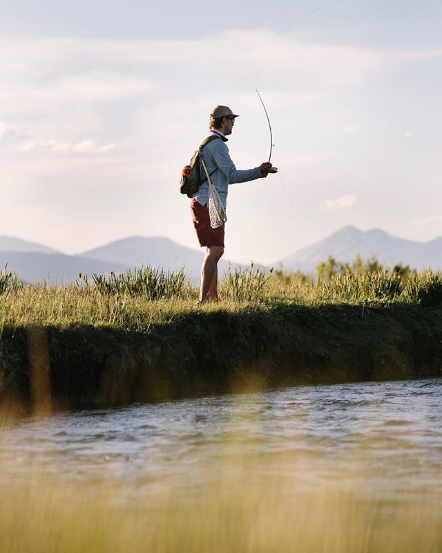 JohnDalePhoto's tweet photo. Mountain streams w/ @cosugg [Hartsel, CO - July 2019 - @senderopc #optoutside #getoutstayout #solarlife #explore #wanderlust #flyfishing #spiritofthewest #soulofthewild] https://t.co/xlKMyKhJyZ https://t.co/u9Ym5xg4to