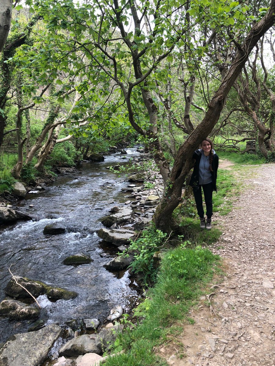 therage2live's tweet photo. This is no #fairytale #forest but if you happen to take this stroll on rain free day in @visitexmoor it might feel like one 😉 The #HeddonsMouth walk is filled with lush green #trees plenty of #song birds &amp; a stunning #river to keep you company as you head towards the #coast https://t.co/A5UN9nw8oJ