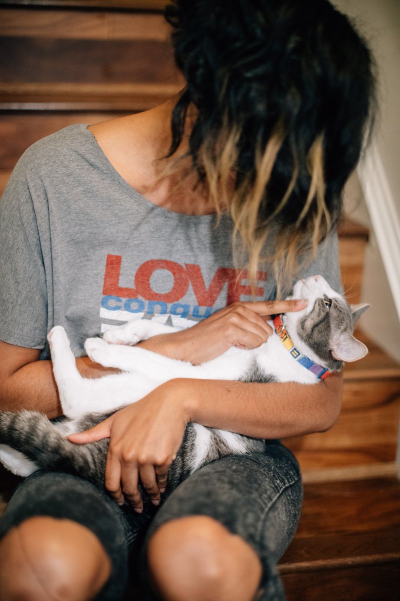 Celebrate National Kitten Day with HRC Pet Gear