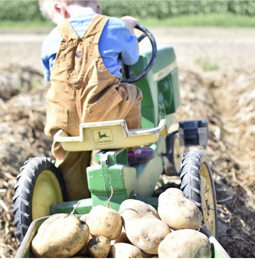 coldrivervodka's tweet photo. Excited to see the good things happening at @greenthumbfarms ! We can’t wait to turn these spuds into our vodkas and gin!📷:@greenthumbfarms #coldriver
#coldrivervodka #coldrivergin #gin #vodka #potatogin #potatovodka #glutenfree #kosher #potato #maine #summer #farm #mainespirits https://t.co/UfC8WDQxDq