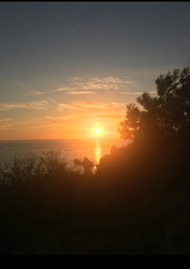libelluledoree's tweet image. #Biarritz
#côtedesbasques