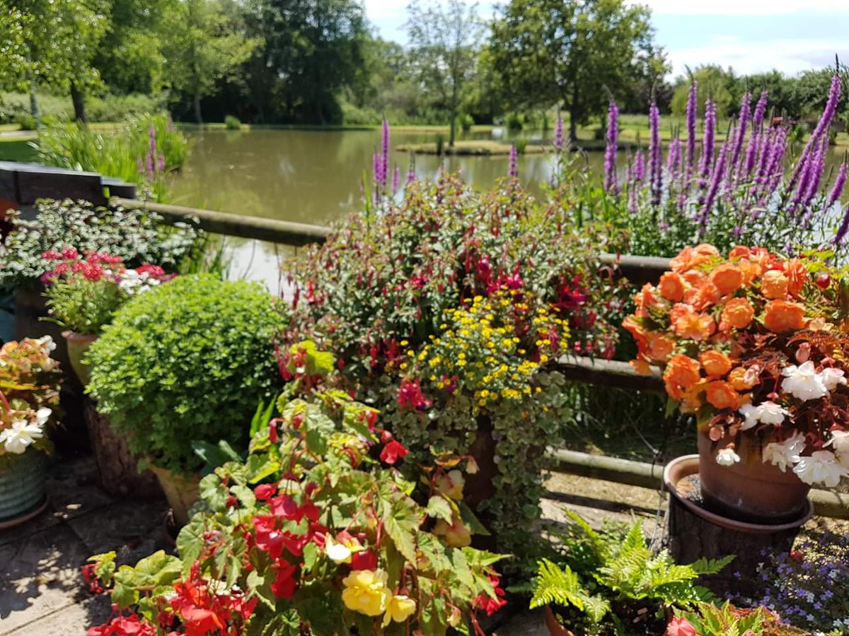 yarlingtonbarn's tweet photo. Flower Power! The gardens around the Barn are looking magnificent! The hard work and dedication is paying off! @yarlingtonbarn https://t.co/NJuu57QLKP