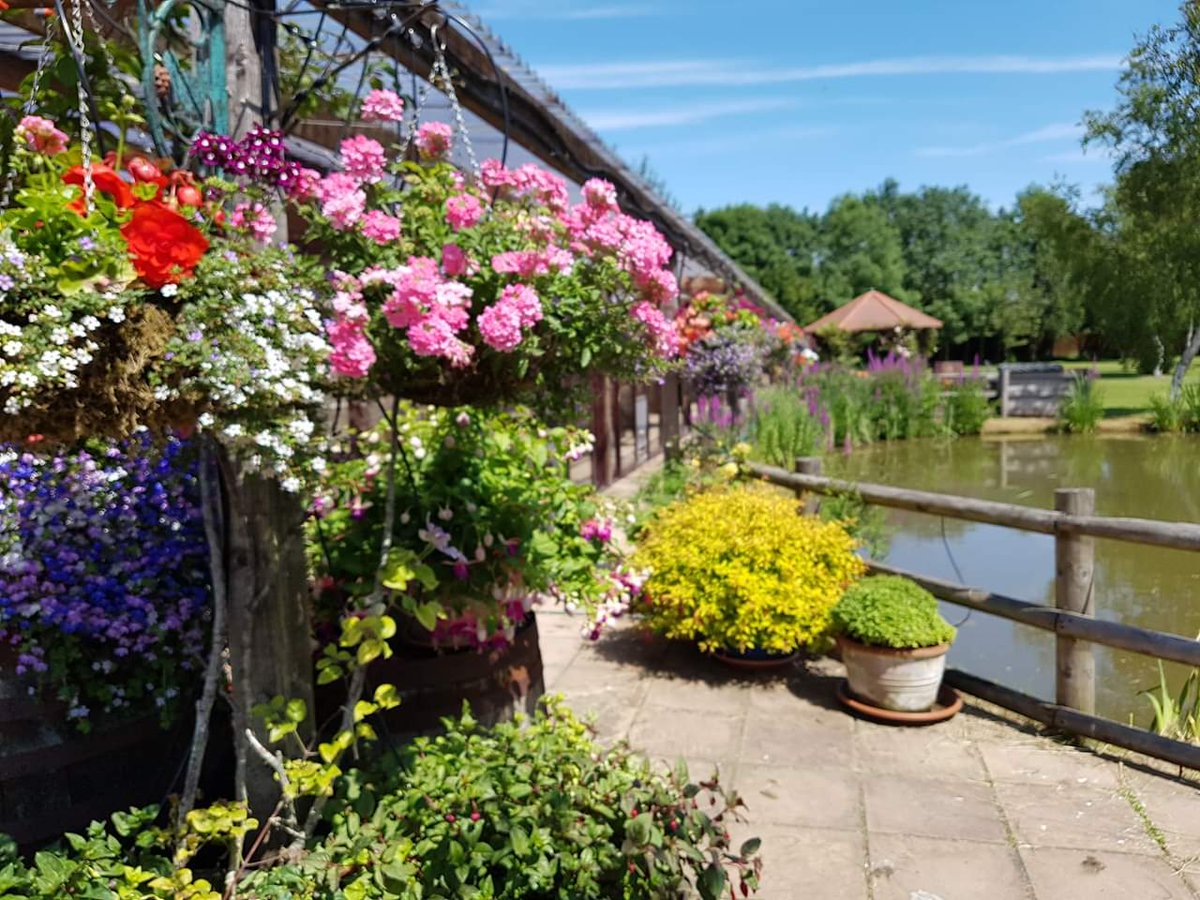yarlingtonbarn's tweet photo. Flower Power! The gardens around the Barn are looking magnificent! The hard work and dedication is paying off! @yarlingtonbarn https://t.co/NJuu57QLKP