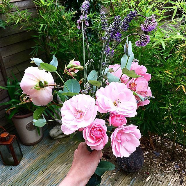 EastPromise's tweet image. Feeling utterly frazzled as we are about to take the leap and move out of the big smoke to Oxford. So i’m using all the tools in my arsenal to try and keep calm: meditation, yoga and gardening 💫🌱
.
.
What helps you to keep calm when life sends you st… ift.tt/32ijyFh