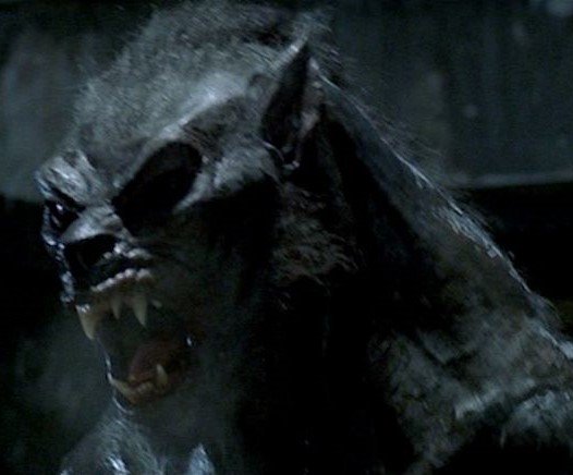 DrWolfman42's tweet image. Maybe you like the "Underworld" series maybe you don't. Maybe you like the CGI and maybe you don't. One thing we might agree on, however. The Lycans themselves were Bad. Ass. #lycans #underworld #badasswerewolves #werewolves #horror
