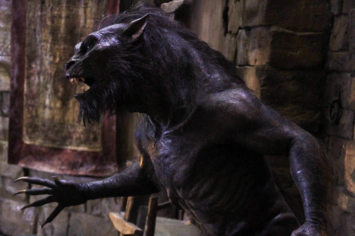 DrWolfman42's tweet image. Maybe you like the "Underworld" series maybe you don't. Maybe you like the CGI and maybe you don't. One thing we might agree on, however. The Lycans themselves were Bad. Ass. #lycans #underworld #badasswerewolves #werewolves #horror