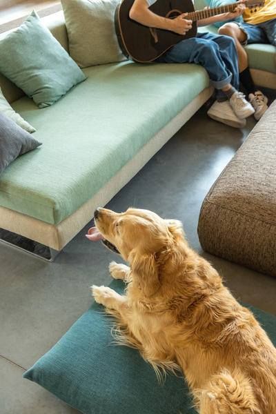 thechairpeople's tweet photo. Have peace of mind when deciding on your new chairs, and choose family friendly Fibreguard fabric. These fabrics can be upholstered on any of our products, and stains can be cleaned with just water! Watch the video! https://t.co/9KCj6wuker, Call us on 0330 900 3300 for info! https://t.co/UtxtaDnxjc