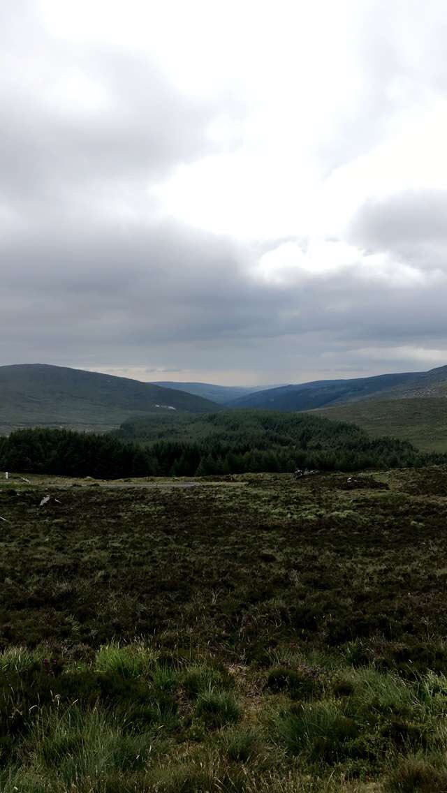 MurrenDawg4's tweet photo. Our first stop in Ireland today was the Wicklow mountains. Pictures don’t do it justice. Sheep running around like deer here. Also still trying to get used to driving on the wrong side of the road/car! https://t.co/8OVm6fOsy1