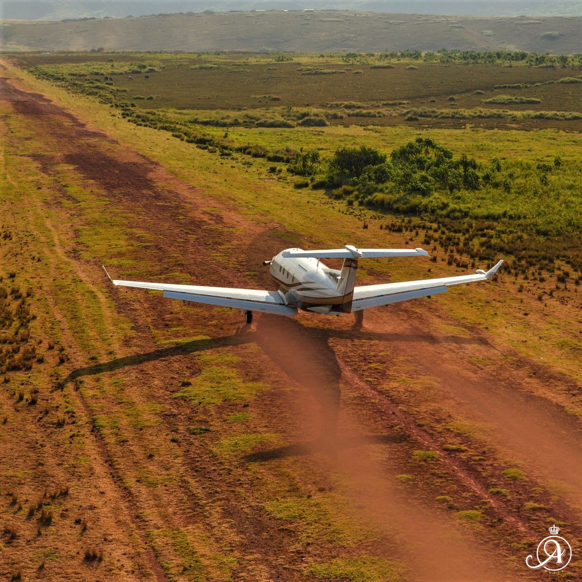 We take you in the African bush in the best conditions ever ! 🛩🌍✨

#pilatusc12  #privatejet  #privatejets  #jet #dreamjet #luxuryjet #tanzanie #africa #privatejetlife #luxuryaviation #VIP  #artoftravel #luxurytravel #safari  #africa  #tanzania #bigfive  #tomakethedifference