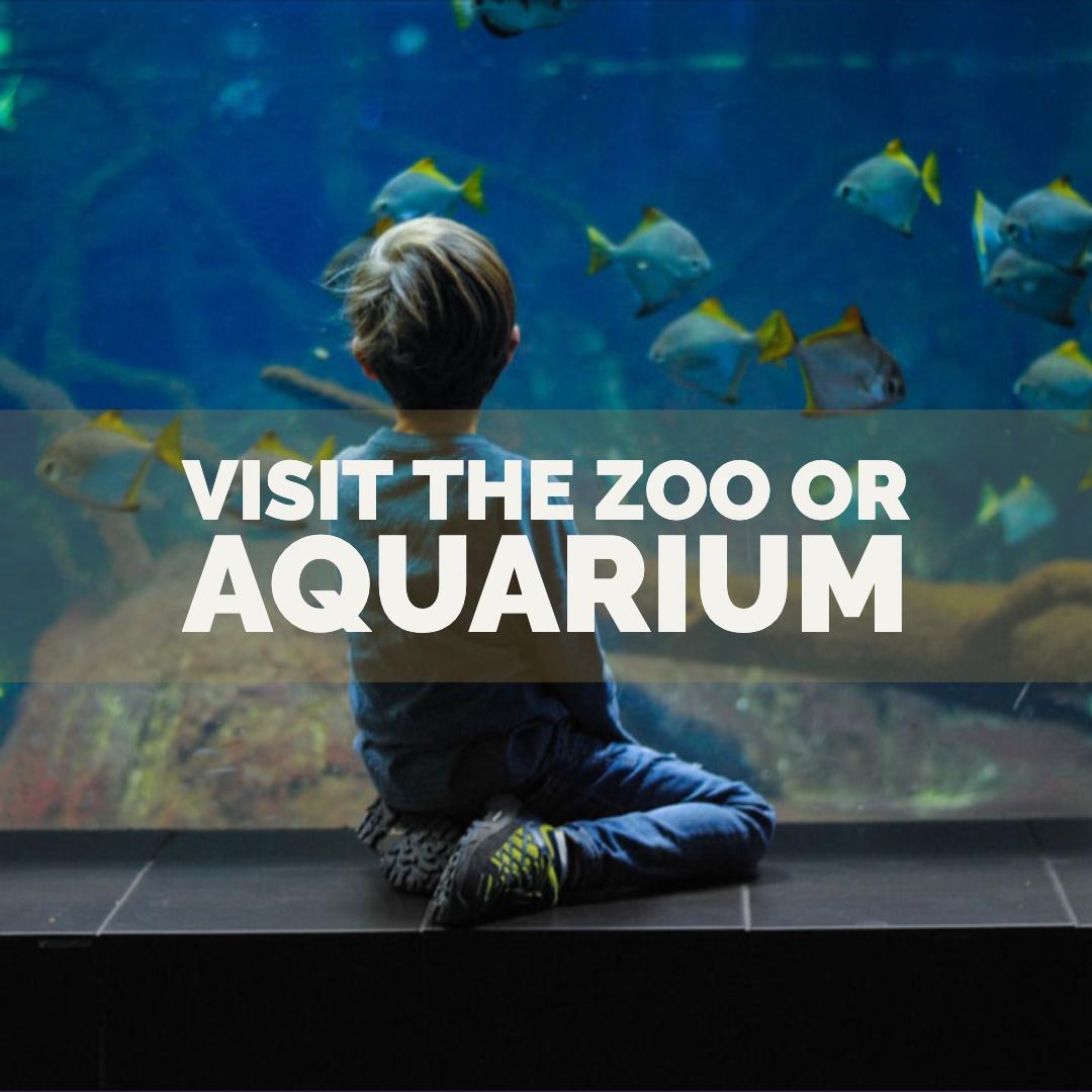 Smiley360's tweet image. Visit the Zoo or Aquarium! Learning doesn&apos;t just have to be limited to the classroom! Zoo&apos;s and aquariums offer classes and seminars on the animals they house! Have other fun summer plans with your kids? We&apos;d love to know! Use the #freesummerfun &amp;amp; #smileymember when you post!!!