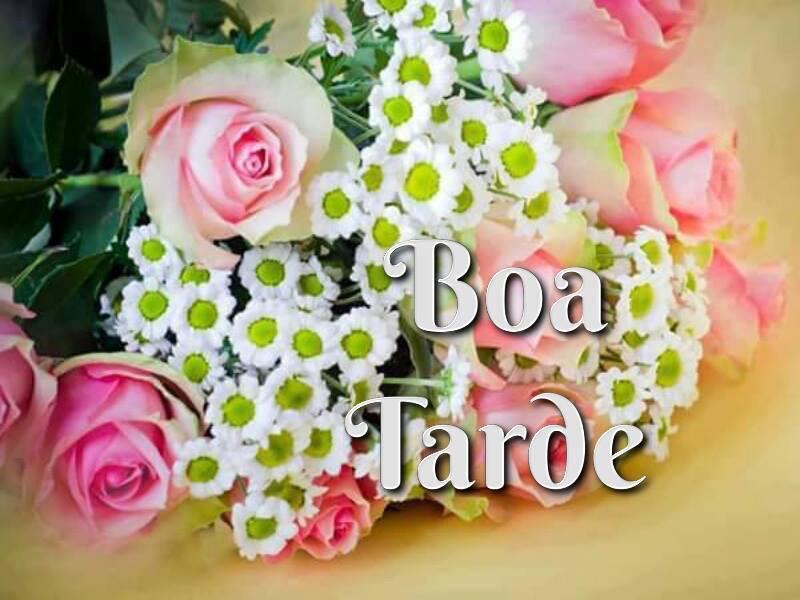 VitriaCalheiro1's tweet photo. @Hcalori Boa tarde@Hcalori https://t.co/oB88POJVnP