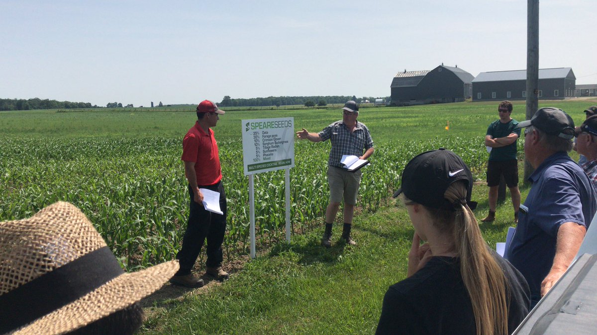 North Wellington Coop Farmer Tour cover crop stop #nwc75 @NWCoop  @NWCoop