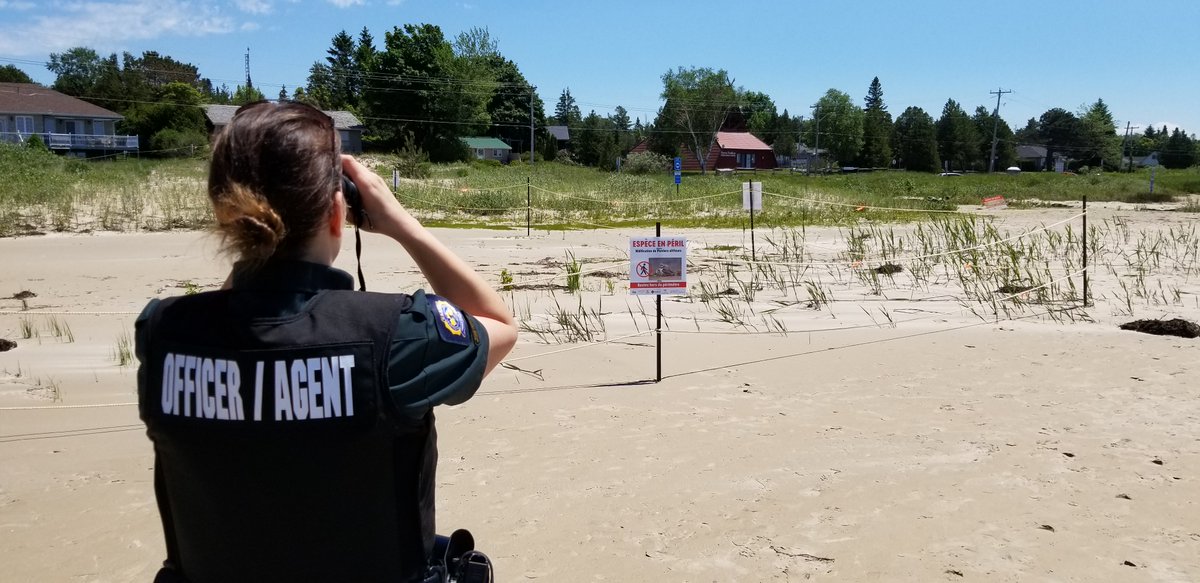 Environment Canada tweet media