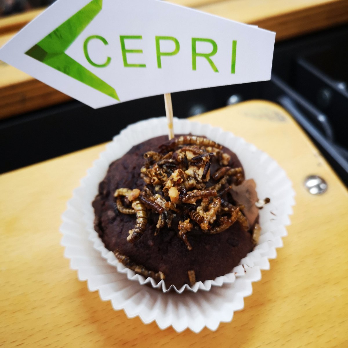 Früher oder später muss man sich ja umgewöhnen, was das Thema Fleischkonsum angeht. 🤔 Deshalb habe ich heute gleich damit angefangen und Dank des Startups #Cepri einen Muffin aus Insektenmehl und mit Mehlwurm-Topping gegessen. Bisserl trocken, aber sonst überraschend uneklig!