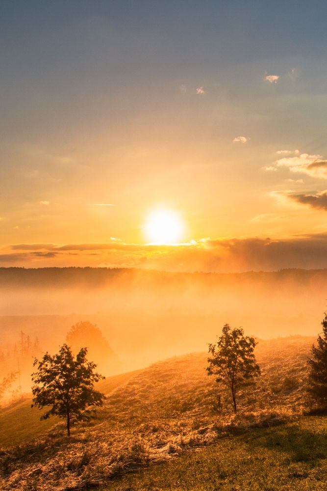 Good API tweet media