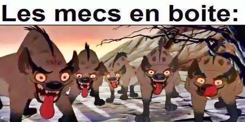 Mort de rire tweet media