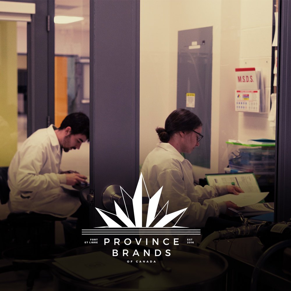 Spotted: our research team in their natural habitat. 🕵️