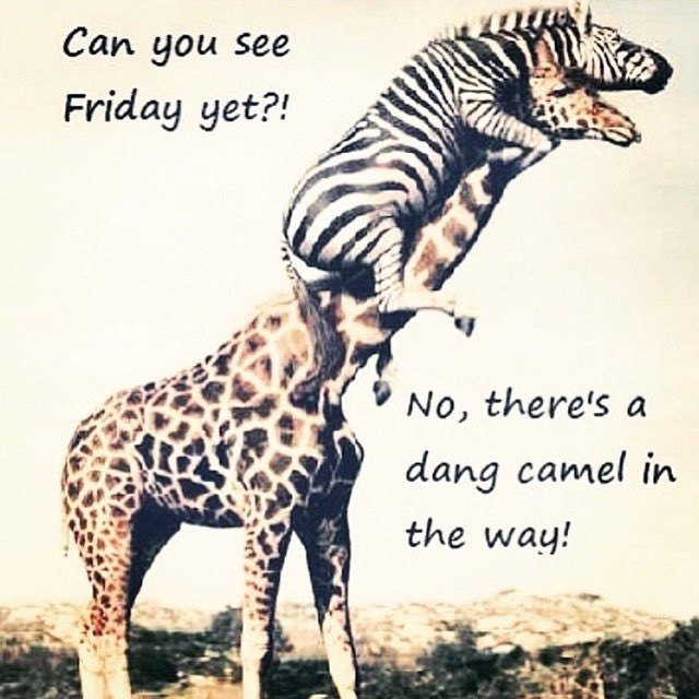 OrderOnTheWay's tweet image. Happy Hump Day 🤩😎