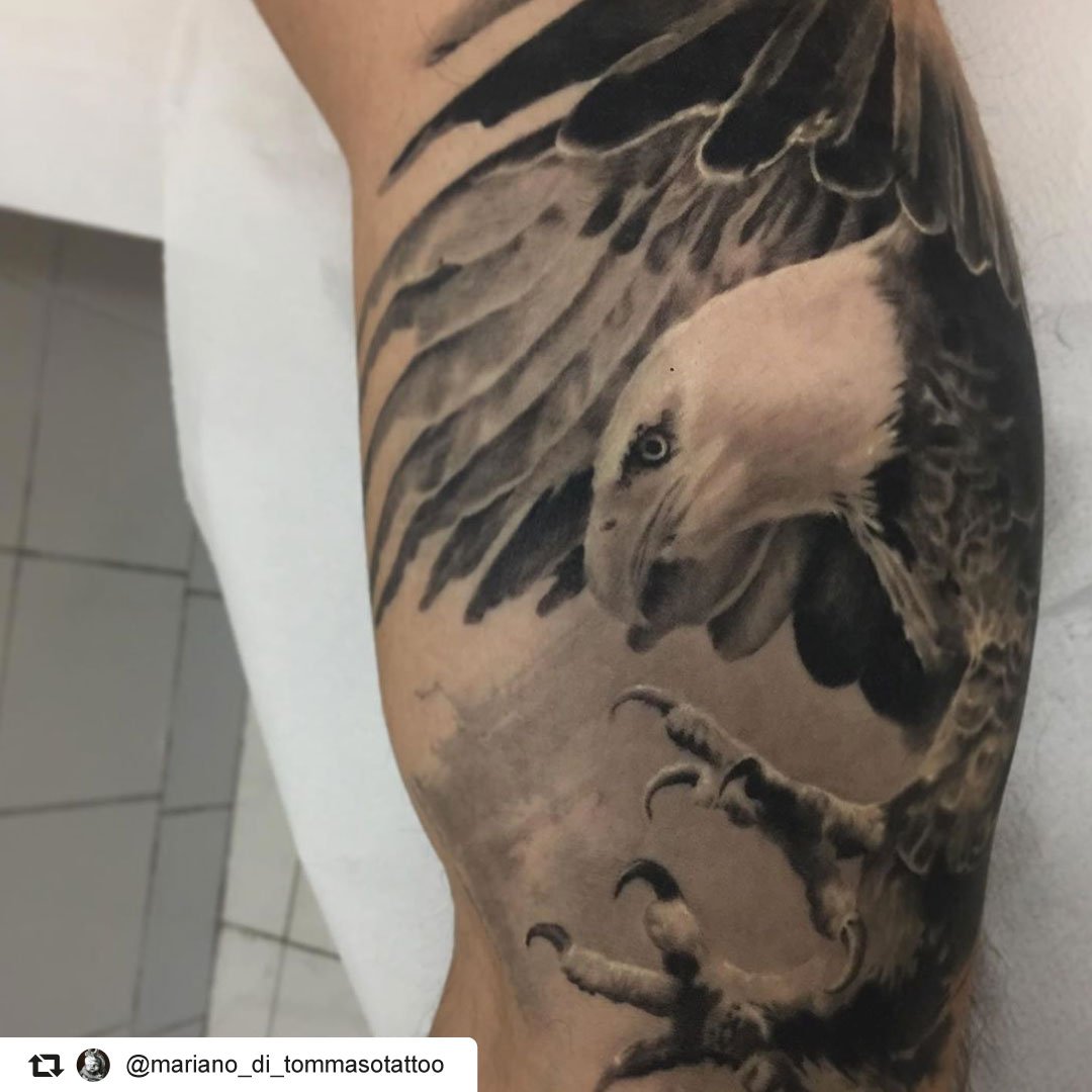 eagle #aquila #neotrad #neotraditional #antoniettaarnonearts #romatattoo  #tattooroma #italiatattoo #tattooitalia #neotr… | Eagle tattoo, Red tattoos,  Animal tattoo