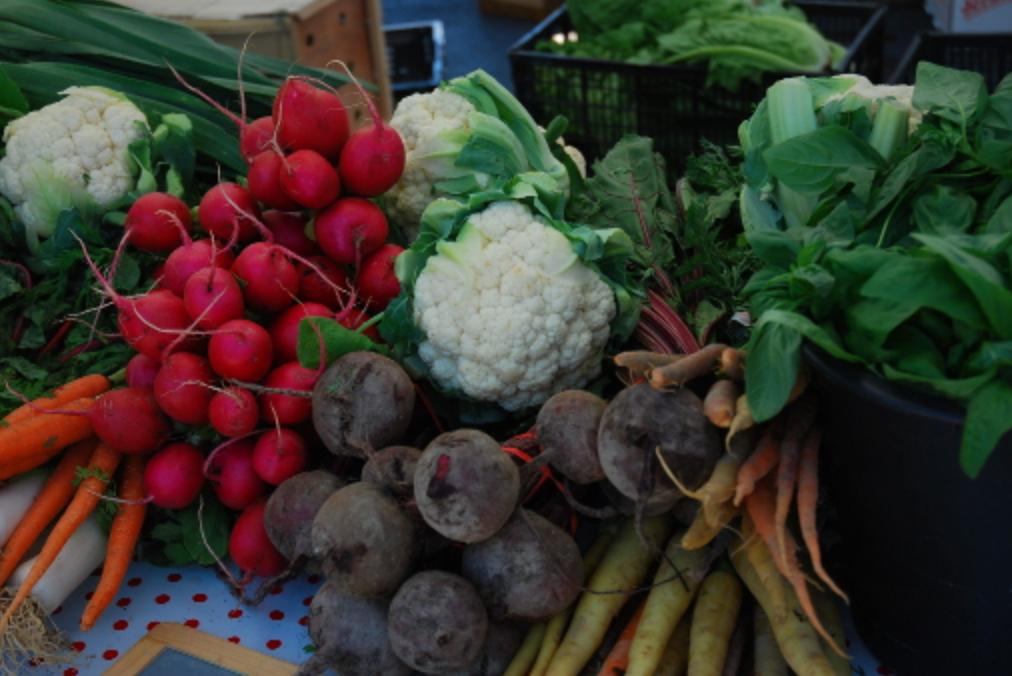 ClassicTowns's tweet photo. The summer produce season is in full swing! Head over to @haddonhts for some fresh pickings! #haddonheights #nj #classictowns
https://t.co/slTCMJdc7M https://t.co/zePCbZJnvj
