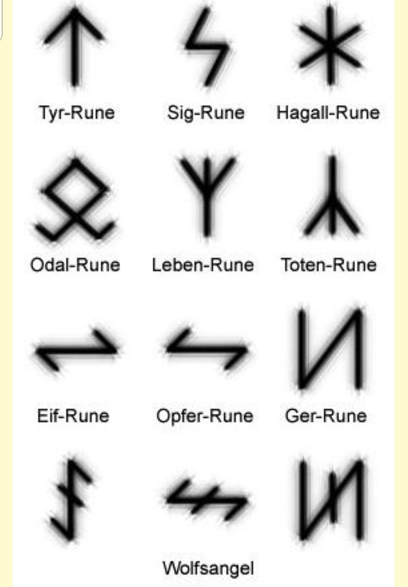 Just kind of... runes and viking shit in general should be a red flag?They don't automatically mean the person is a nazi, but nazis love them some runes-- these ones in particular.I'll highlight a couple, but if anyone wants to name more obscure ones I'll rt into the thread.