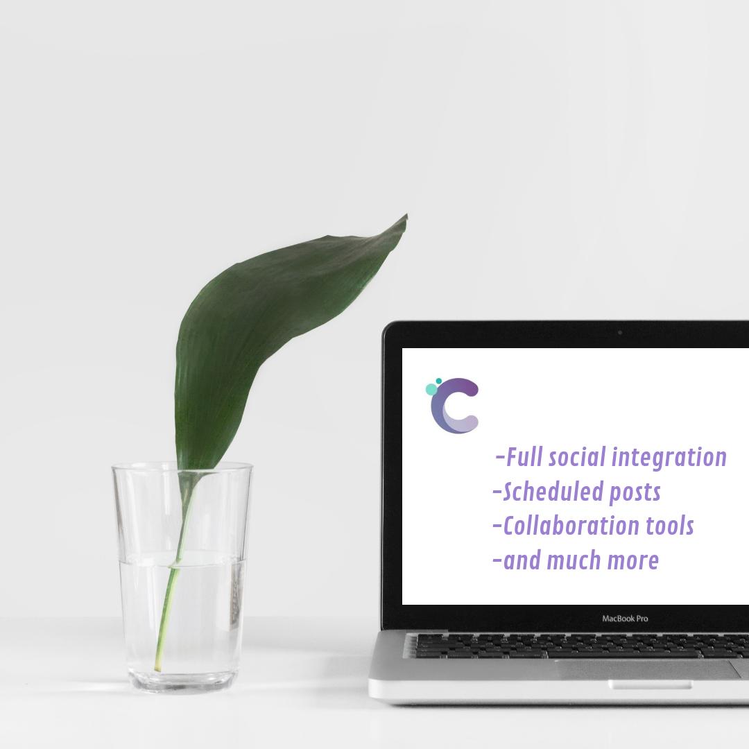 candybitsocial's tweet image. We've got the full package! 🙌