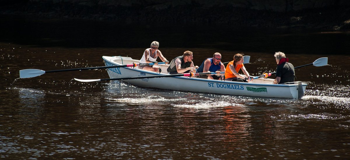 CardiganFoodFestival tweet media