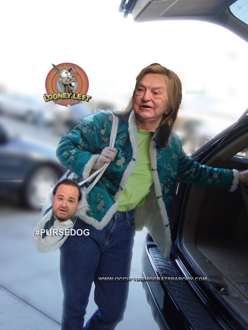 ErikHansLarson's tweet photo. @AmyMcGrathKY You're the choice of @georgesoros and his #PURSEDOG @funder aka #ScottyDwarfkin, so that actually means you ARE the #SwampCandidate! #DitchBitch #TreasonDemocrats #NoSeatsforCommies #SayNoToProgressives #SwampCandidate https://t.co/qy7zM6LcWq