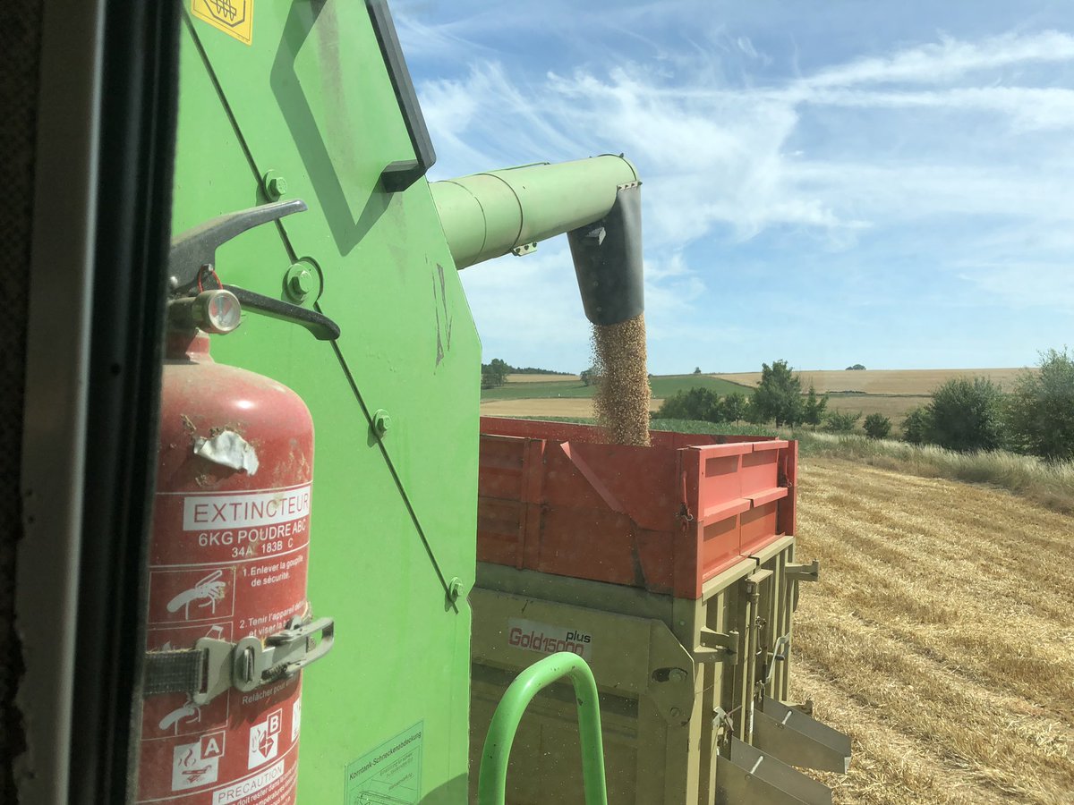 BADURAUX_j's tweet photo. voilà ça c’est fait ! pois de printemps bon les rendements ont pas l’air «ouf» moins de 40qx certainement il me reste quelques tonnes à livrer 😟 très déçu ils ont été magnifiques tout le #printemps l’allongement de #rotation en lorraine c’est pas simple #Moisson2019 #moissonemc2 https://t.co/SUcDj7Eueo