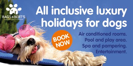 Going away this summer? Give your pet a taste of the high-life too, at Rags &amp; Bert's Dog Hotel.
Our passionate professionals ensure your loved one will be thoroughly spoiled in our real 'home from home' friendly environment.
Call 0118 207 7788 or ragsandberts.co.uk