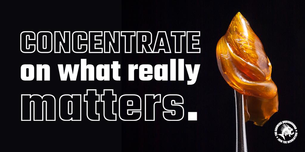 On this special day, concentrate on what really matters: concentrates. 👀 Happy 710!

#DabDay #OilDay #Cannabis #Concentrates