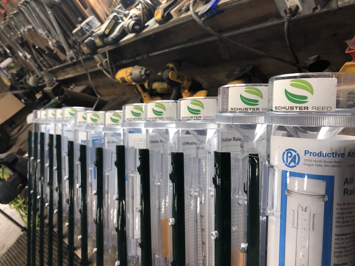 Schuster Seed tweet media