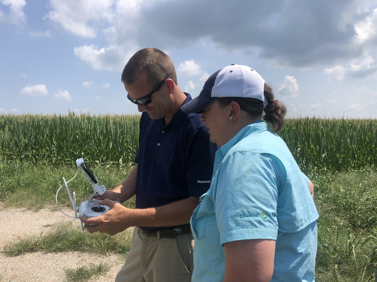 Channel_KY_SIN's tweet image. Scouting a field in Morganfield KY with @MoninWhitney our KY agronomist &amp;amp; Kirk &amp;amp; @Redgreenwell8 our Seedsman from @BluegrassAg - We found signs of adult western corn root worm feeding - keep your eyes peeled 👀🌽