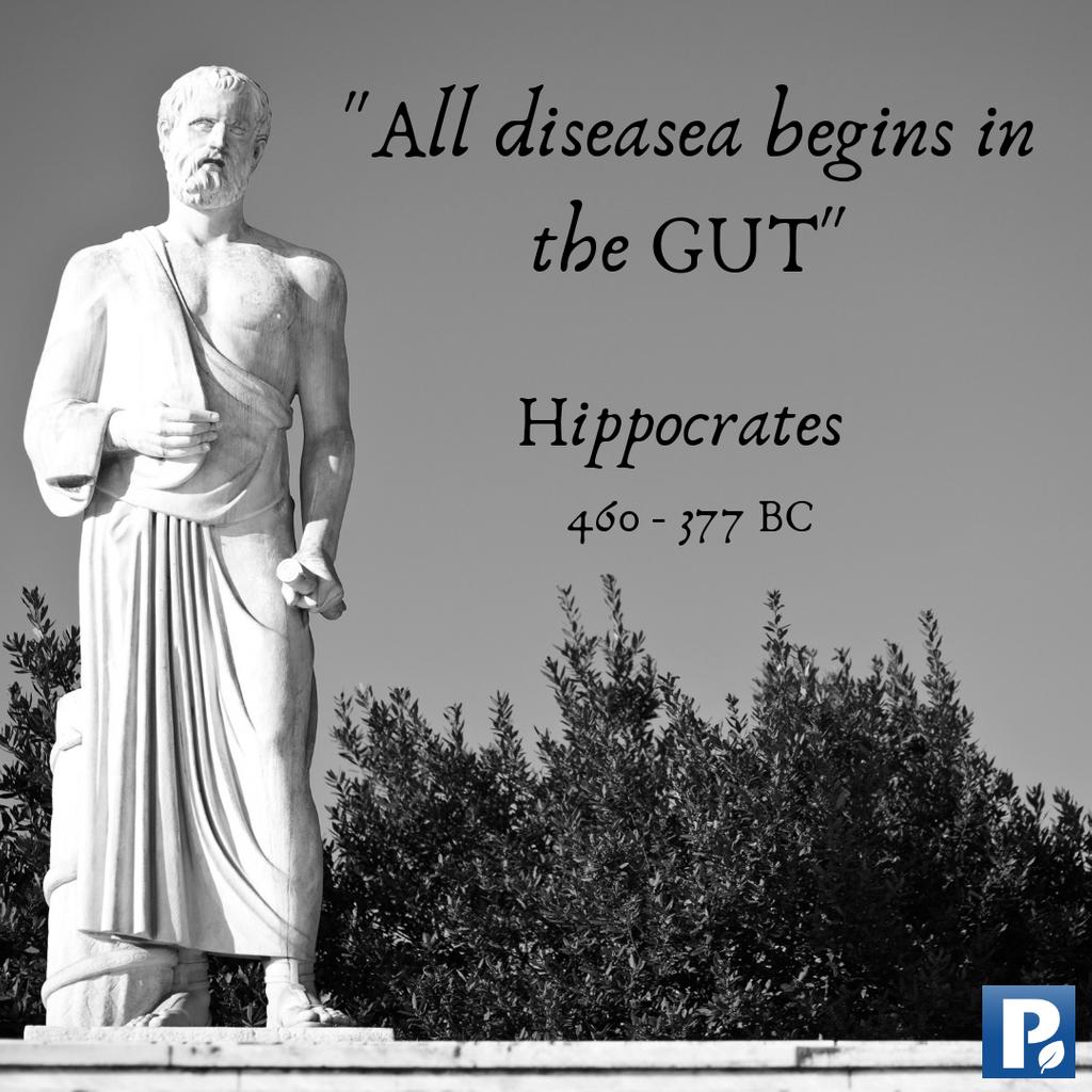 ProBion's tweet photo. While all disease doesn’t literally start in the gut, many metabolic, autoimmune, and cognitive diseases do in fact start with gastrointestinal disturbances or imbalances  

Heal your Gut with ProBion 🧡

#probion #probiotics #guthealth #ibs #digestion  #guthealing #health https://t.co/LRl20OcGFE