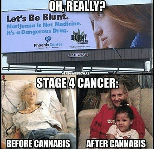 RxLeafMD's tweet photo. #cancersucks #goodmedicine #cannabis #medicalcannabis #cannabispatients #cannabiscommunity #fuckcancer #rxleafdotcom #weedfeed #weedlife #fam https://t.co/J5OvwBDjMa