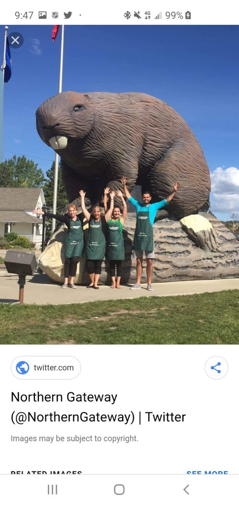jason_oake's tweet photo. @theBVJ Beaverlodge, Alberta https://t.co/GOPNWdI8RR