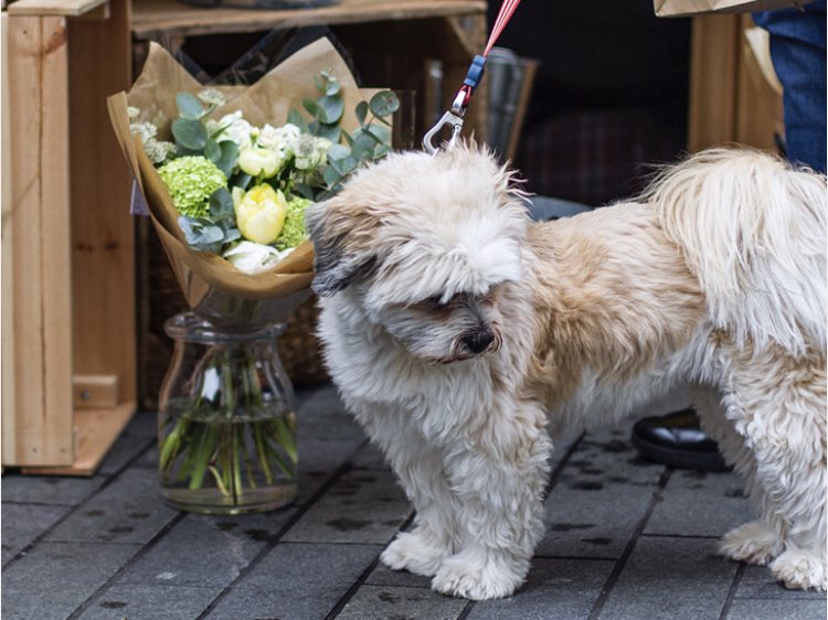 CatfordFoodMarket tweet media