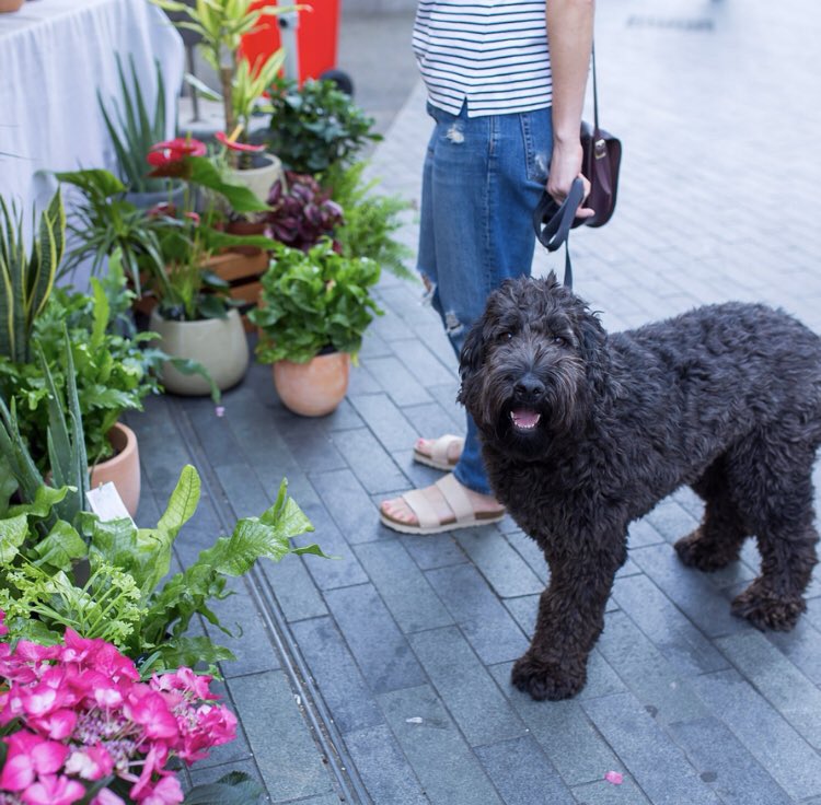 CatfordFoodMarket tweet media