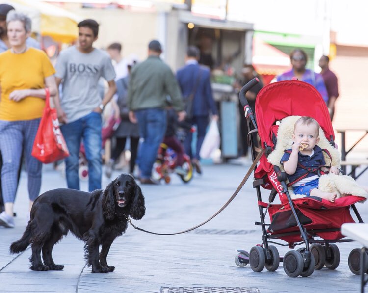 CatfordFoodMarket tweet media